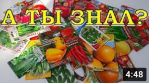 МАРТ: какие ОВОЩИ сеять на рассаду??????