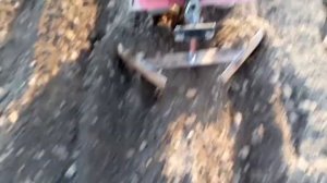 Посадка картофеля под мотоблок.