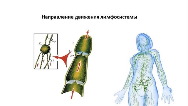 Токсины в организме у ребенка