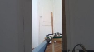 Металлоискатель терминатор 3