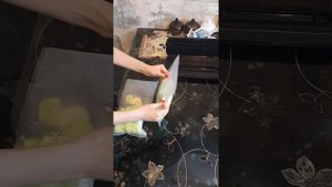 Заморозка кабачков вакууматором