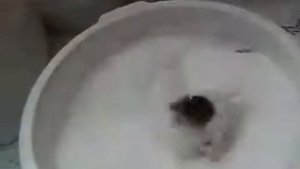 Пенополистирол гранулы пенопласта полистирол в кресло мешок груша