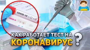 Как работает ТЕСТ на КОРОНАВИРУС? | Plushkin