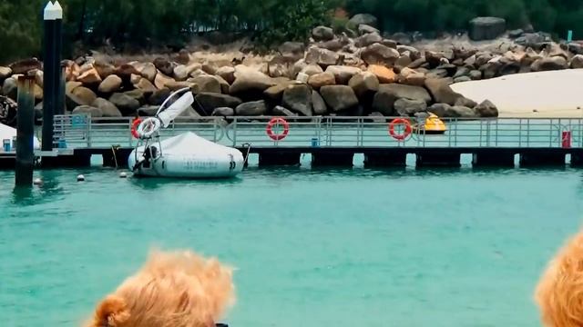 Пляж в Сингапуре - неожиданные виды. смотреть онлайн