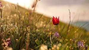 Беременная сирота от безысходности вернулась в глухую деревню, как вдруг услышала…
