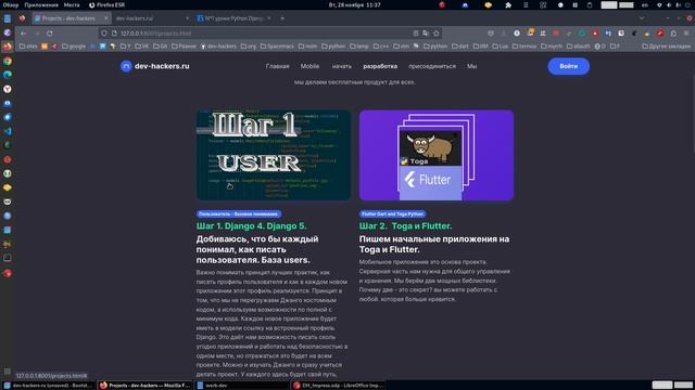 Разработка мобильных приложений на:  Flutter и Toga . C (Backend) Django + Django REST framework.