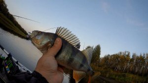 спиннинговая рыбалка на реке сосьва 19.09.2023