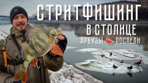 ТОЛСТЫЕ ОКУНИ Москвы! СТРИТФИШИНГ. Весенняя рыбалка.