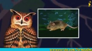 Как сова охотится в полной темноте Развивающие мультфильмы