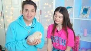 У НАС В СЕМЬЕ ПОПОЛНЕНИЕ | ВИКА БЕРЕМЕННА?