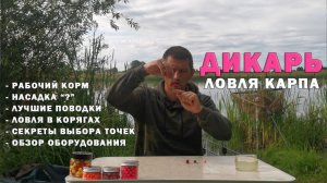 Дикарь 3. Как всегда ловить сазана и карпа. Подробно про мою ловлю+ практические советы. Карпфишинг
