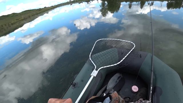 САЗАНЫ ЛОМАЮТ УДОЧКИ! Горе рыбаки! Ловля сазана на боковой кивок смотреть онлайн