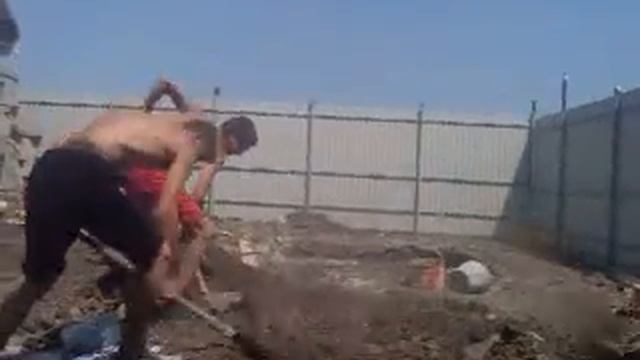 harlem shake новочек gidropon смотреть онлайн