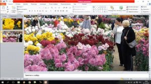 Как преобразовать формат фото из #3х4 на формат #16х9 для видео на Youtube