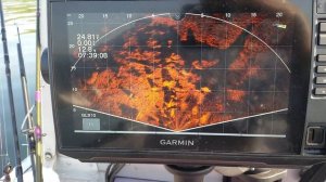 360 или Паноптикс?