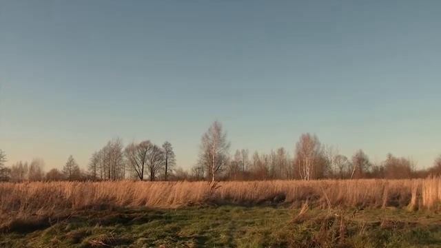 454329 "Природа" смотреть онлайн