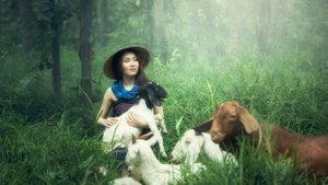 Сонник Коза. Сонник толкование Коза. К чему снится Коза.