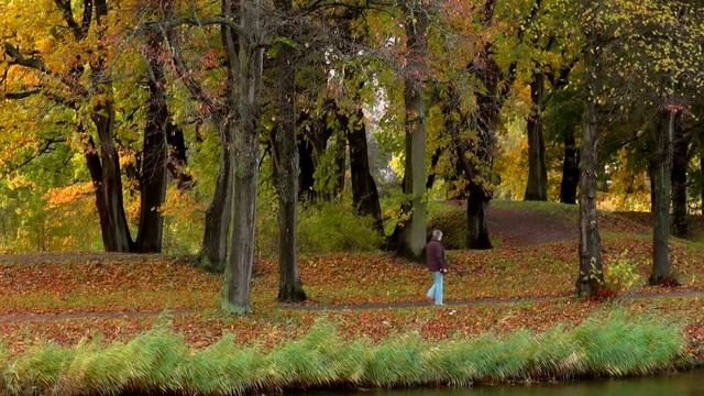 Экшн камера AKASO V50 Pro тестовое видео смотреть онлайн