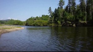 Пусть несет меня река