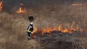 От пожарных до водителей: детям о профессиях, часть 1. Какие есть профессии и почему они важны?