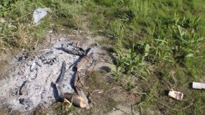 Виды реки Парабель