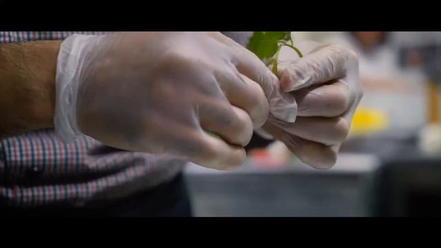 Паб, бар «ШИШКА Lounge» Том ям / MNC Media смотреть онлайн