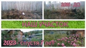 НАШ УЧАСТОК СПУСТЯ 7 ЛЕТ ❤️☺️