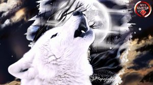 ВОЛЧИЦА / НОВИНКА 2023/ ВИКТОР МОГИЛАТОВ / МУЗ-БЬЮТИ