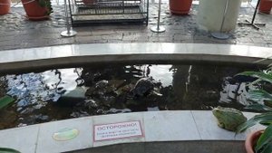 Где провести выходной с детьми в Омске