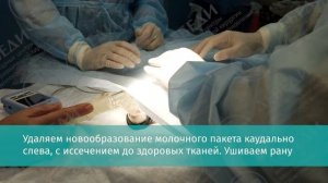 Удаление опухоли у крысы