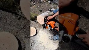 Stihl ms 230 vs stihl ms 180