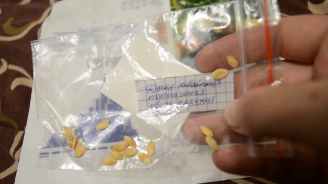 Пришла посылка с семенами с канала Сад и огород#Пепино #огурдыня и т.д.Ура, я выиграла! смотреть онлайн