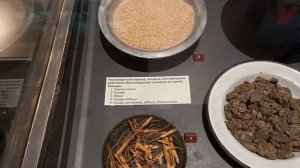 МУЗЕЙ ОБОРОНЫ И БЛОКАДЫ ЛЕНИНГРАДА