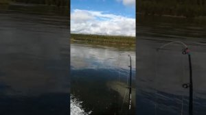 обкатка мотора тохатсу 9.8 на лодке солар 310 оптима