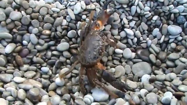 Добыча в Черном море смотреть онлайн