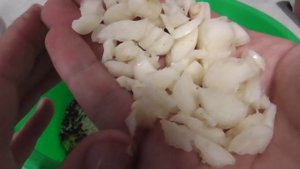ЧЕСНОЧНАЯ ПРИКОРМКА на КАРАСЯ СВОИМИ РУКАМИ!! Отличная ПРИКОРМКА на СКОРУЮ РУКУ, КАРАСИК ОЦЕНИТ!!