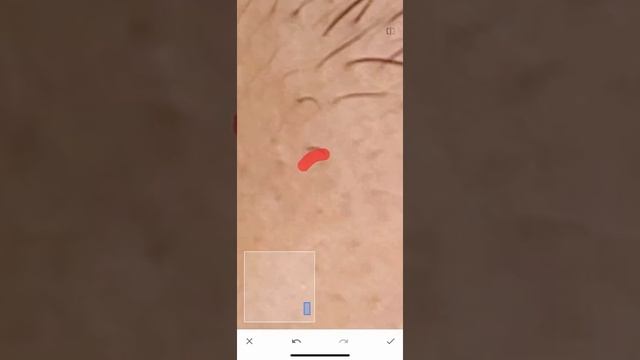 Обработка фото в Snapseed смотреть онлайн