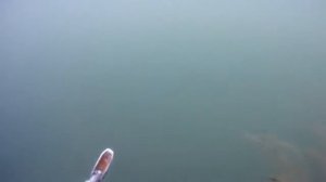 подводная охота Кисегач 12.10.14