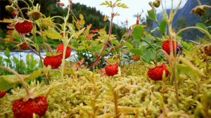 Твое настроение сразу улучшится. Красивая музыка заряжает энергией на весь день!