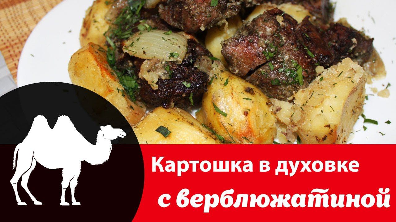 Как приготовить верблюжатину в духовке: рецепт с фото вкусной картошки с мясом, польза блюда