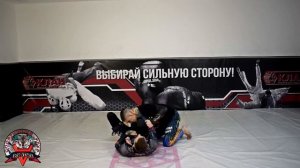 #СКВЕЛЕС Болевой на руку со стойки.