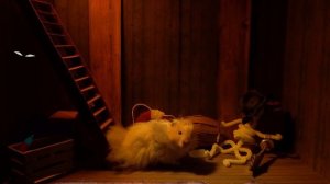 Хомяк Пират эп.1 - Пиратский корабль ?☠️ Хомура Хам Питомцы