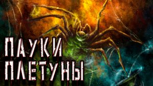Пауки плетущие МНОООГО паутины