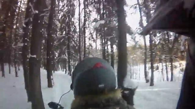 bearcat смотреть онлайн