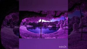 моя победа,  победа в Боге