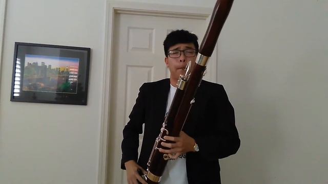 La La Land "City of Stars" (Bassoon cover) смотреть онлайн