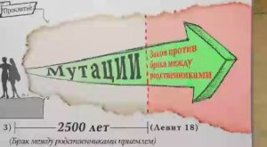 Семинар "Основания" - Одна Кровь, Одна Раса  - 1 - Кен Хэм