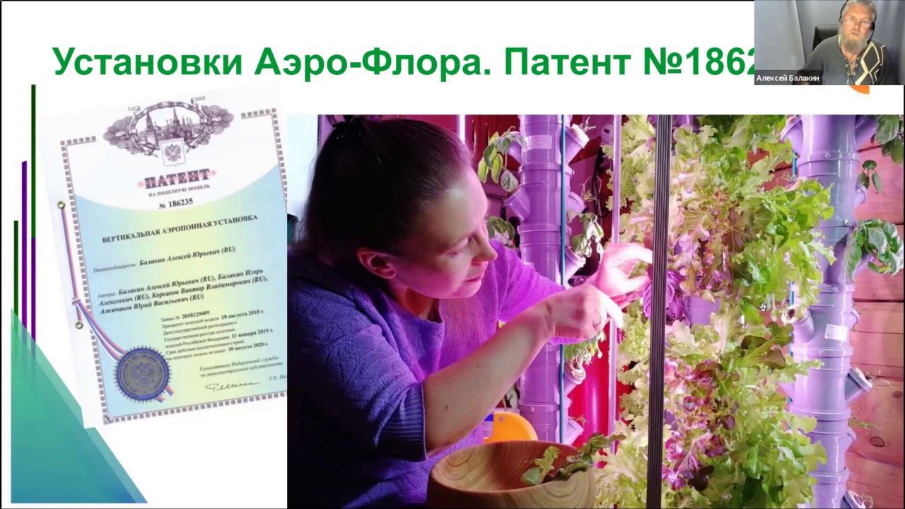 Презентация бизнес плана Фабрики Растений на аэропонных установках вертикального типа Аэро-Флора