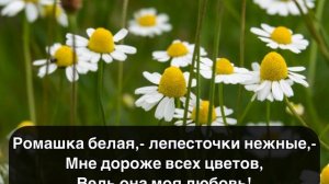 Арт-группа Ларго - Ромашка белая, лепесточки нежные текст