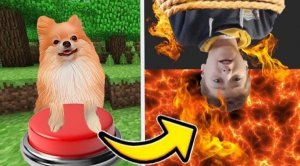 СОБАКА УПРАВЛЯЕТ НАШЕЙ ЖИЗНЬЮ !